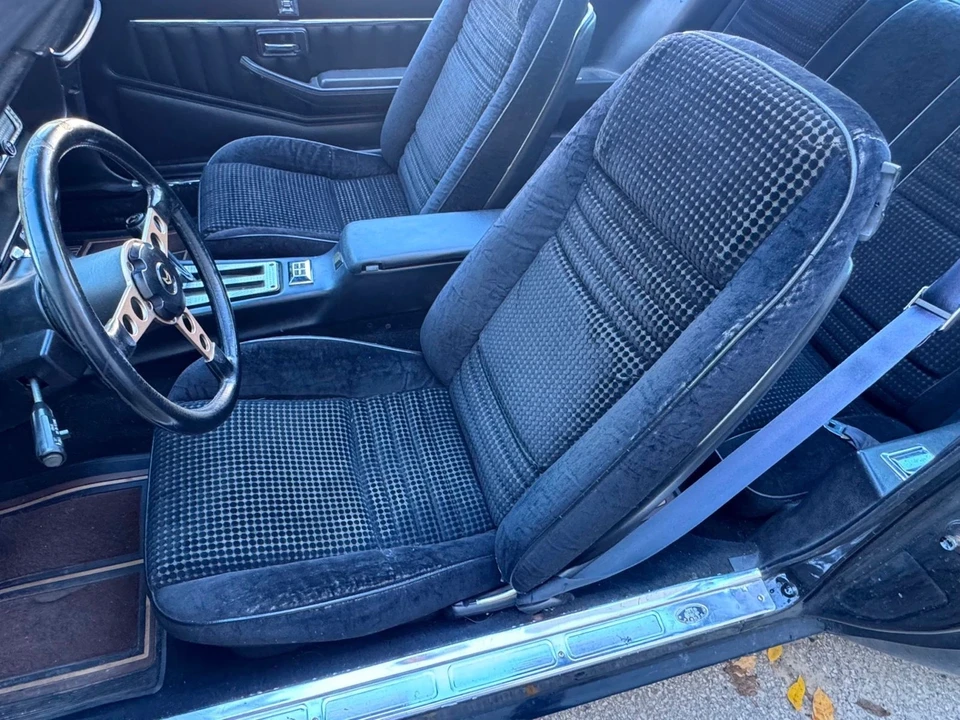 1981 Pontiac Firebird Trans Am 2nd Gen - Image 12 of 12