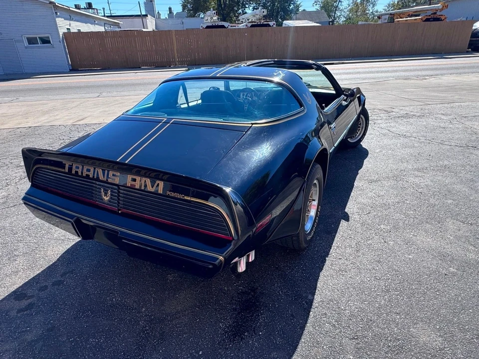 1981 Pontiac Firebird Trans Am 2nd Gen - Image 9 of 12