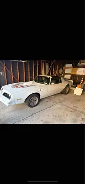 1981 Pontiac Firebird Trans Am Clone