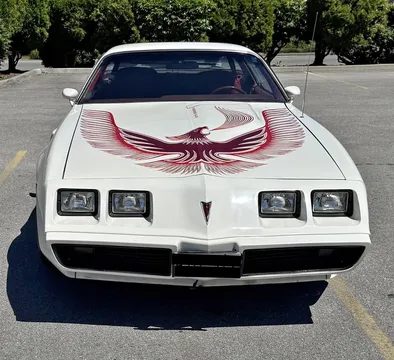 1981 Pontiac Firebird Trans Am Turbo