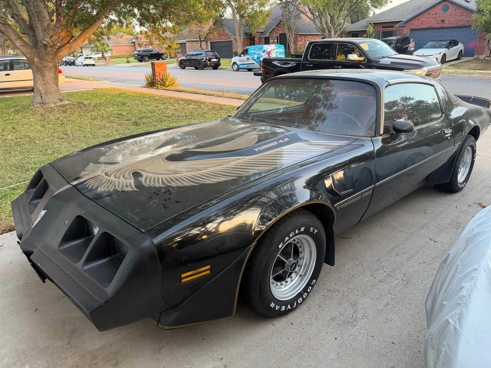 1981 Pontiac Firebird 2nd Gen - Image 3 of 14
