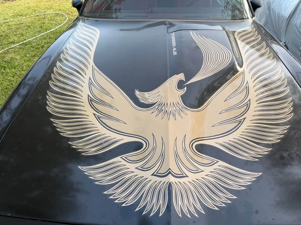 1981 Pontiac Firebird 2nd Gen - Image 4 of 14