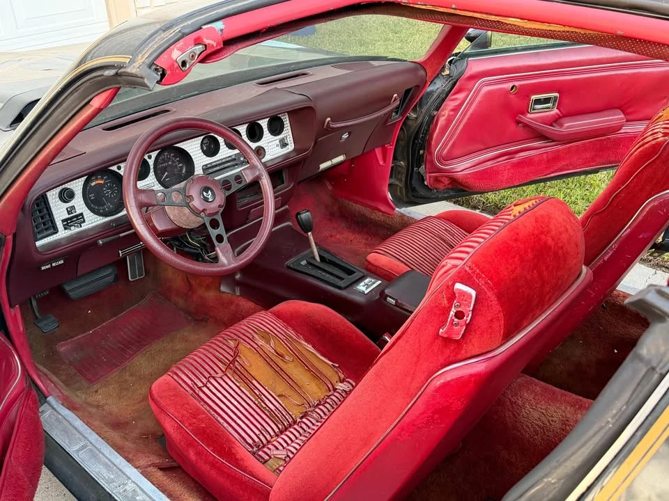 1981 Pontiac Firebird 2nd Gen - Image 10 of 14