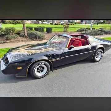 1981 Pontiac Firebird Ttops