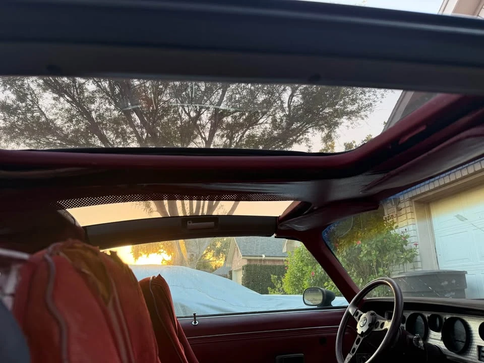 1981 Pontiac Firebird 2nd Gen - Image 8 of 14