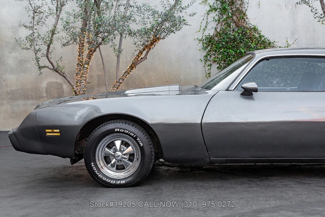 1981 Pontiac Firebird 2nd Gen - Image 13 of 31