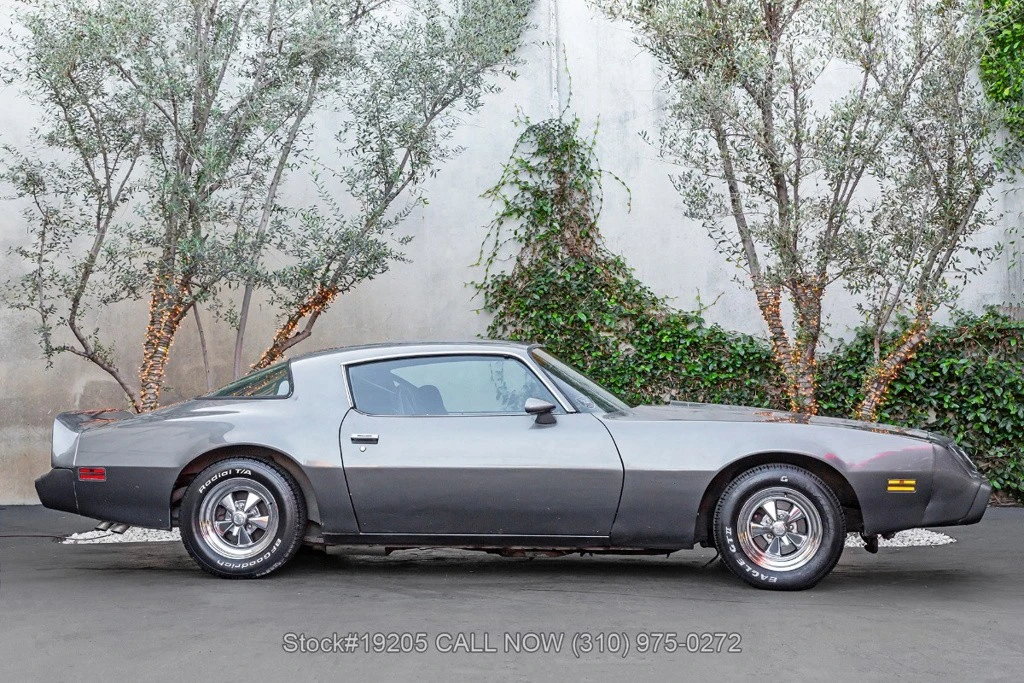 1981 Pontiac Firebird Trans Am 2nd Gen - Image 4 of 12