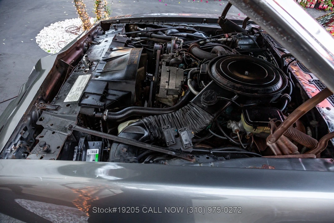 1981 Pontiac Firebird 2nd Gen - Image 28 of 31