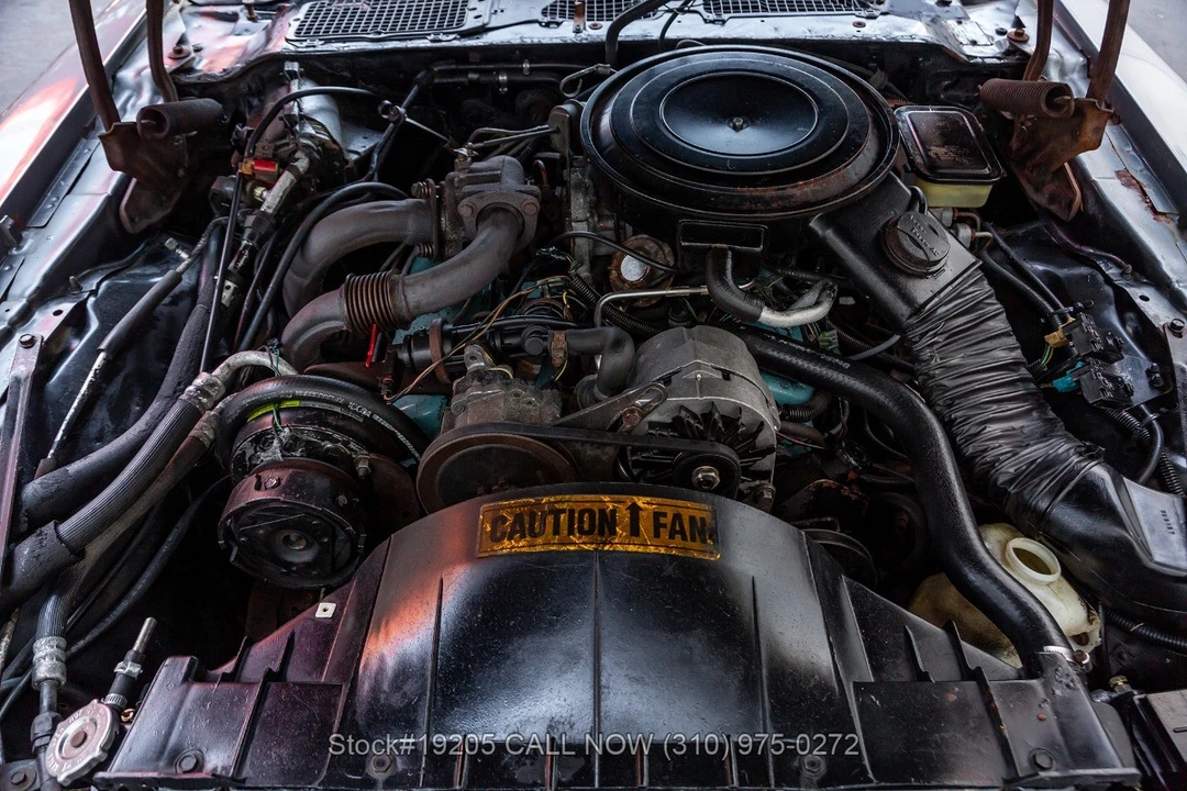 1981 Pontiac Firebird 2nd Gen - Image 31 of 31