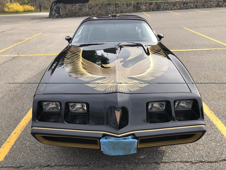 1981 Pontiac Firebird Trans Am 2nd Gen - Image 6 of 31