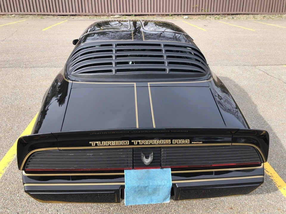 1981 Pontiac Firebird Trans Am 2nd Gen - Image 20 of 31