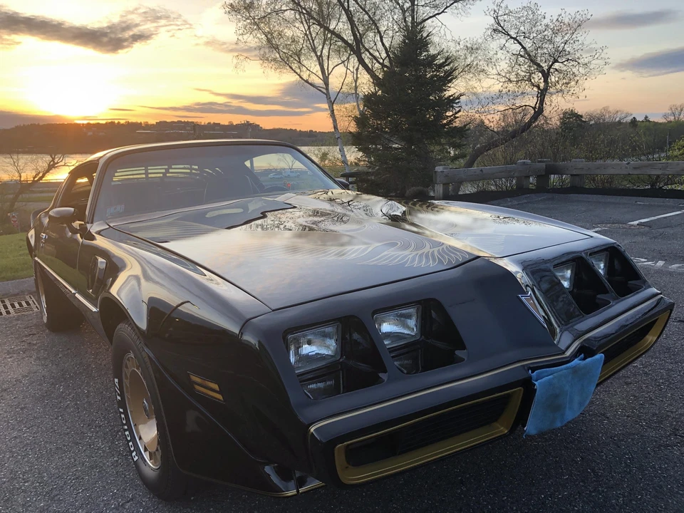 1981 Pontiac Firebird Trans Am 2nd Gen - Image 30 of 31