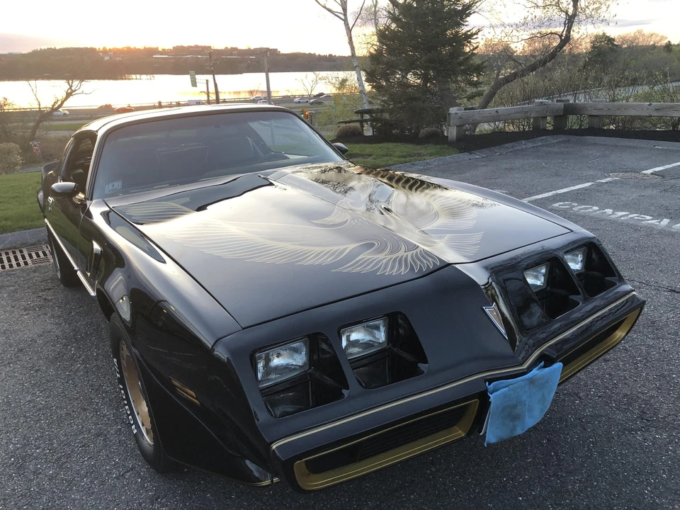 1981 Pontiac Firebird Trans Am 2nd Gen - Image 31 of 31