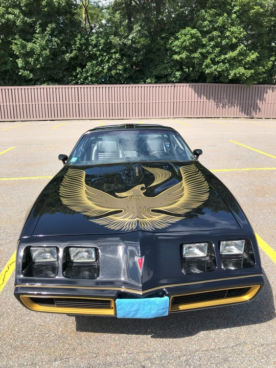 1981 Pontiac Firebird Trans Am 2nd Gen - Image 8 of 31