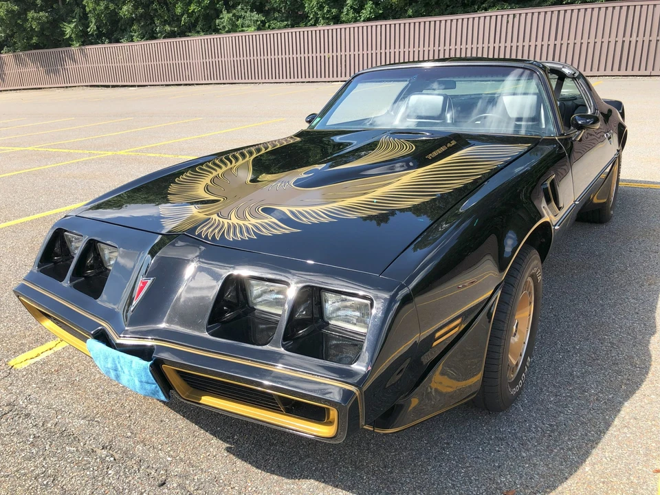 1981 Pontiac Firebird Trans Am 2nd Gen - Image 9 of 31