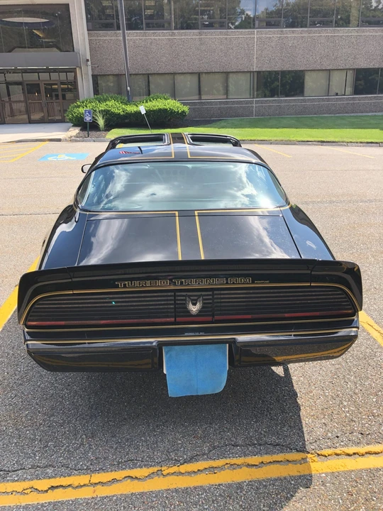 1981 Pontiac Firebird Trans Am 2nd Gen - Image 19 of 31