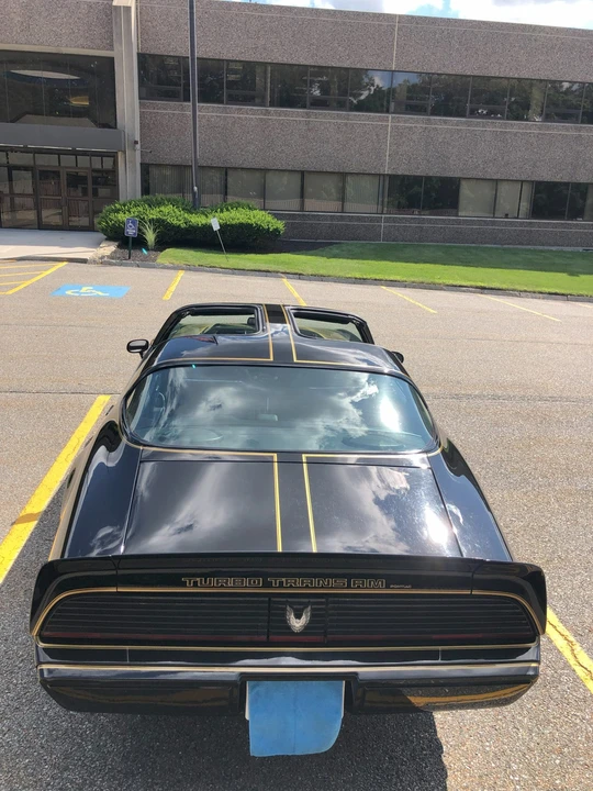 1981 Pontiac Firebird Trans Am 2nd Gen - Image 21 of 31