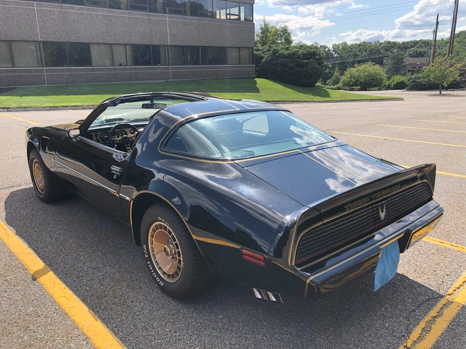 1981 Pontiac Firebird Trans Am 2nd Gen - Image 15 of 31