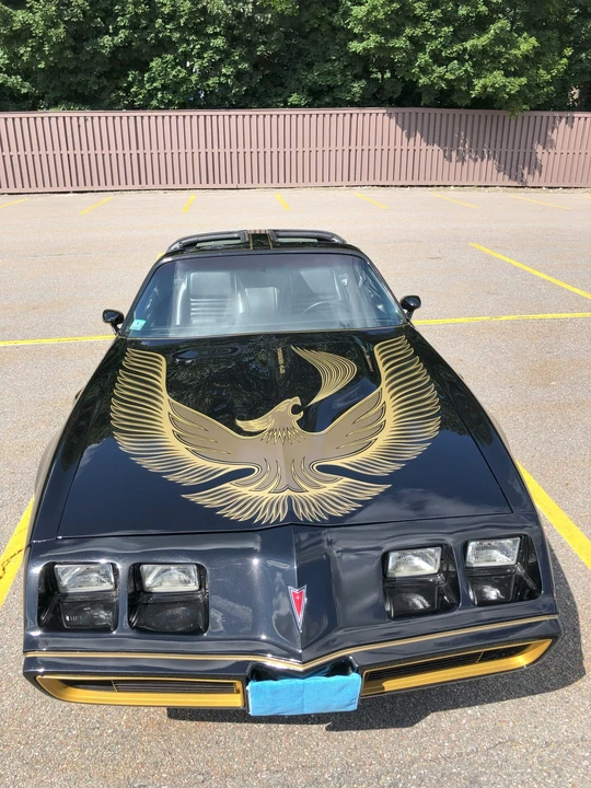 1981 Pontiac Firebird Trans Am 2nd Gen - Image 7 of 31