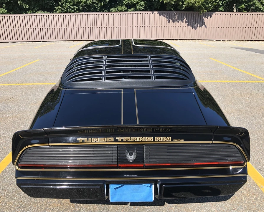 1981 Pontiac Firebird Trans Am 2nd Gen - Image 18 of 31