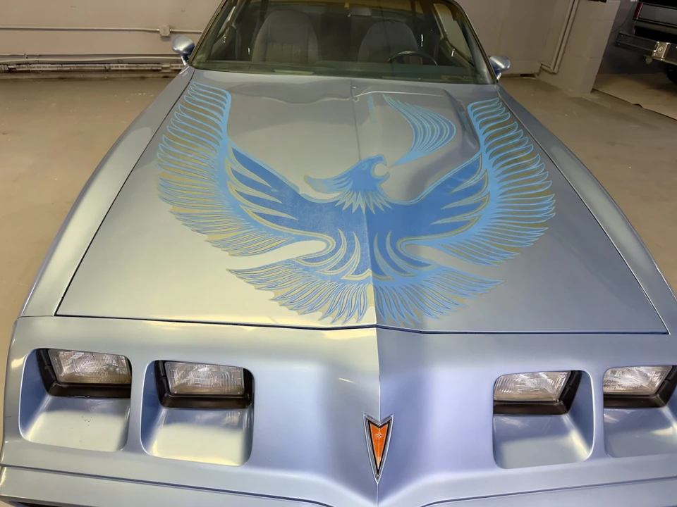 1981 Pontiac Firebird Trans Am 2nd Gen - Image 25 of 31
