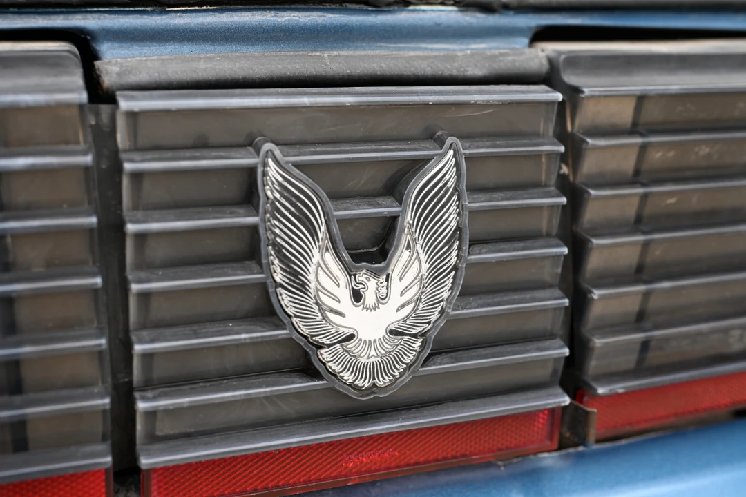 1981 Pontiac Firebird Trans Am 2nd Gen - Image 29 of 31