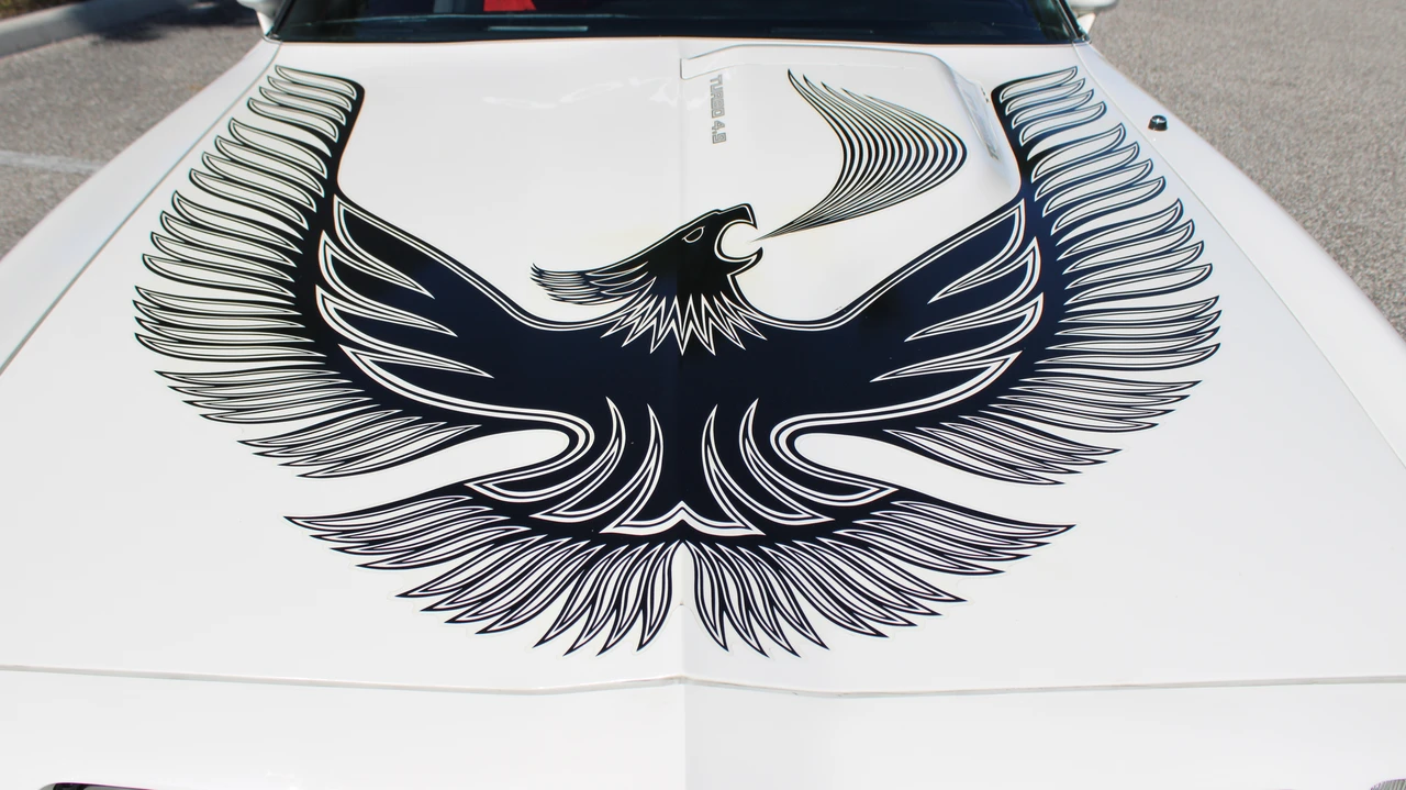 1981 Pontiac Firebird Trans Am 2nd Gen - Image 25 of 31