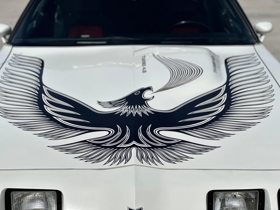 1981 Pontiac Firebird Trans Am 2nd Gen - Image 24 of 31