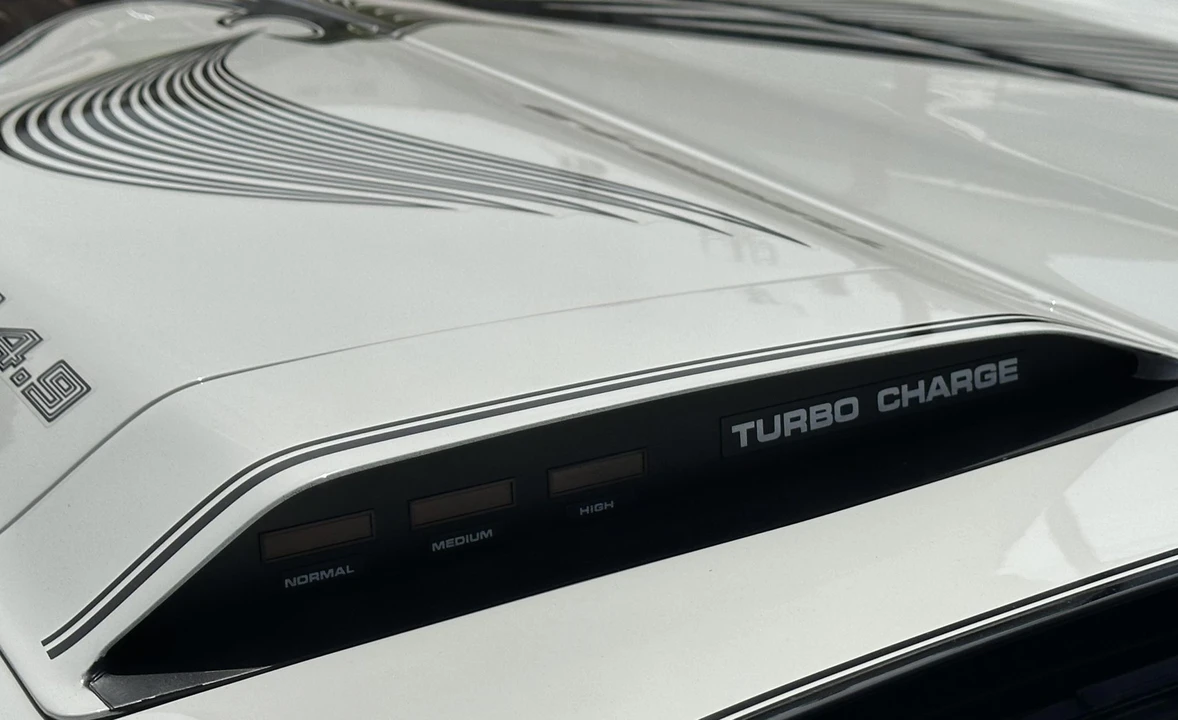 1981 Pontiac Firebird Trans Am 2nd Gen - Image 27 of 31