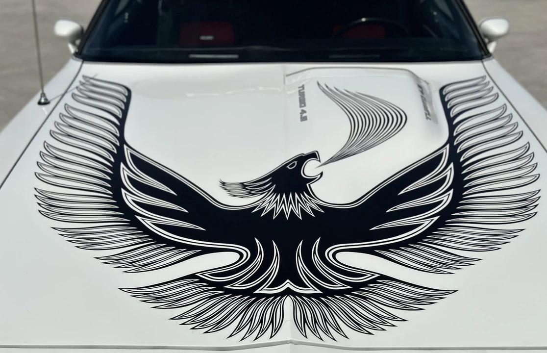 1981 Pontiac Firebird Trans Am 2nd Gen - Image 23 of 31