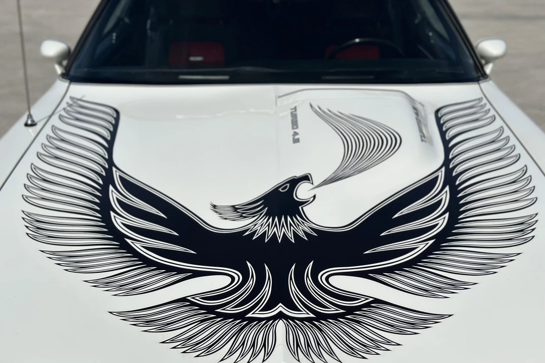 1981 Pontiac Firebird Trans Am 2nd Gen - Image 25 of 31