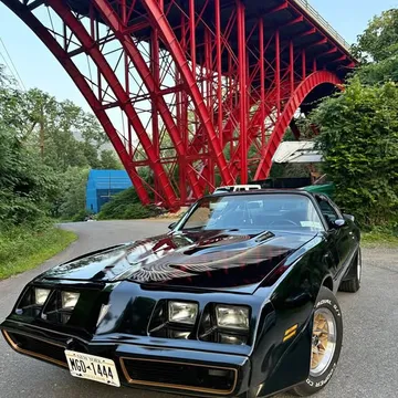 1981 Pontiac Firebird Turbo Trans Am