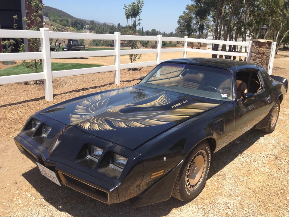 1981 Pontiac Firebird Trans Am 2nd Gen - Image 14 of 31