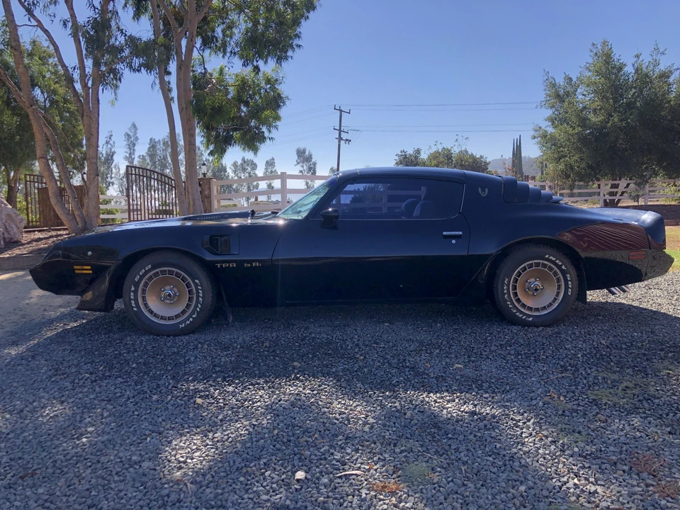 1981 Pontiac Firebird Trans Am 2nd Gen - Image 11 of 31