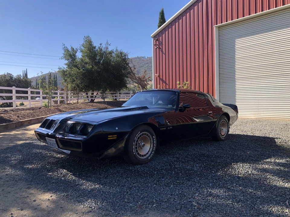 1981 Pontiac Firebird Trans Am 2nd Gen - Image 13 of 31
