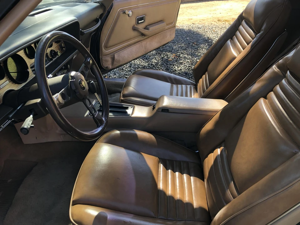 1981 Pontiac Firebird Trans Am 2nd Gen - Image 25 of 31