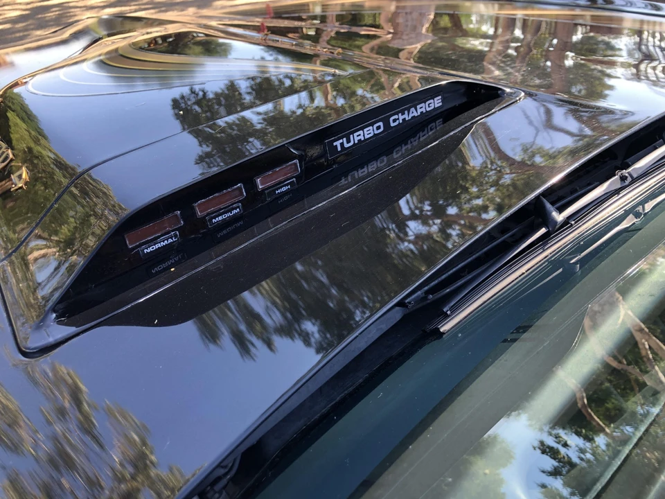 1981 Pontiac Firebird Trans Am 2nd Gen - Image 15 of 31