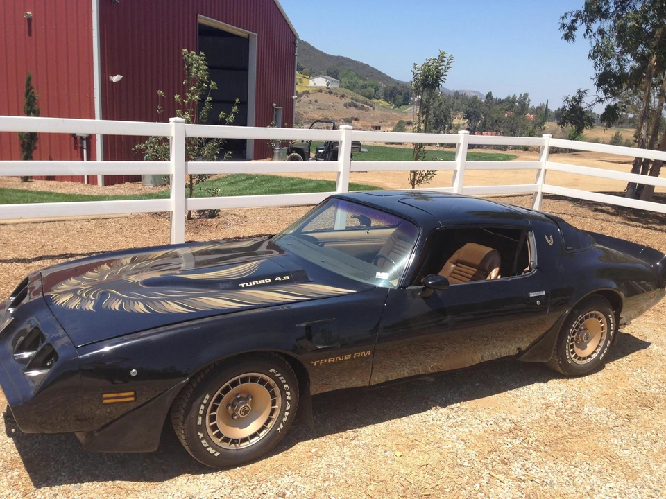 1981 Pontiac Firebird Trans Am 2nd Gen - Image 12 of 31