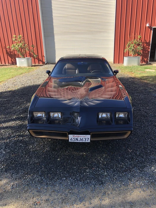 1981 Pontiac Firebird Trans Am 2nd Gen - Image 3 of 31
