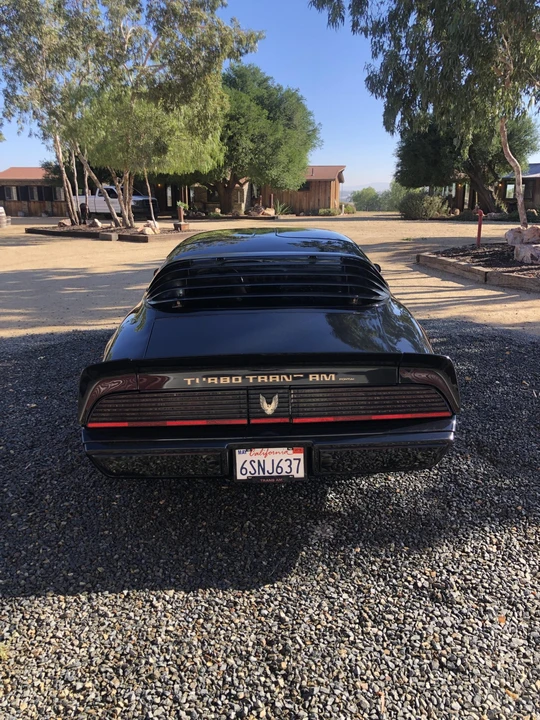 1981 Pontiac Firebird Trans Am 2nd Gen - Image 8 of 31