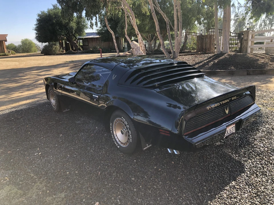 1981 Pontiac Firebird Trans Am 2nd Gen - Image 9 of 31