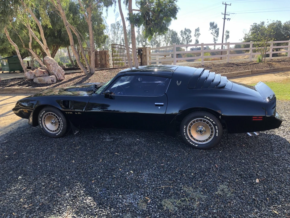1981 Pontiac Firebird Trans Am 2nd Gen - Image 10 of 31