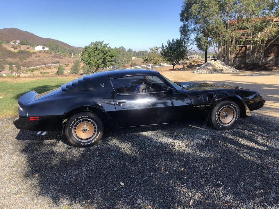1981 Pontiac Firebird Trans Am 2nd Gen - Image 6 of 31