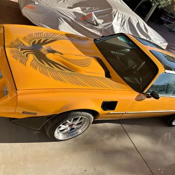 1981 Pontiac Firebird Trans Am