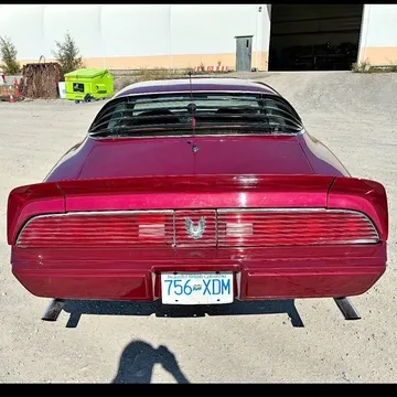 1981 Pontiac Firebird