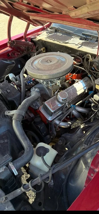 1981 Pontiac Firebird 2nd Gen - Image 2 of 6