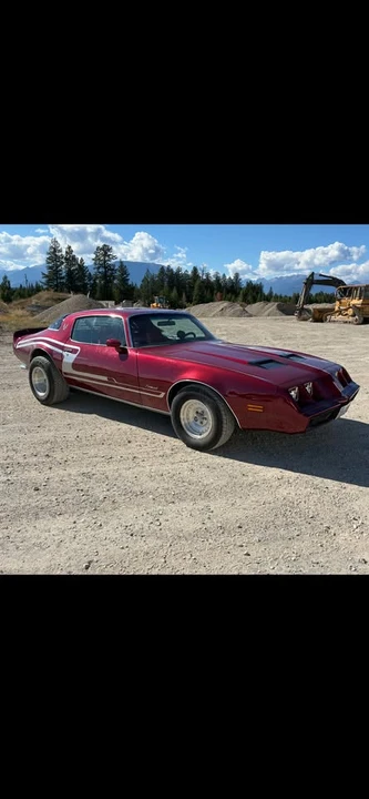 1981 Pontiac Firebird 2nd Gen - Image 5 of 6