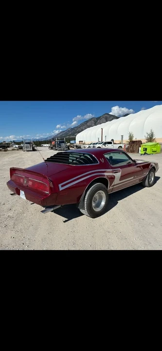 1981 Pontiac Firebird 2nd Gen - Image 6 of 6