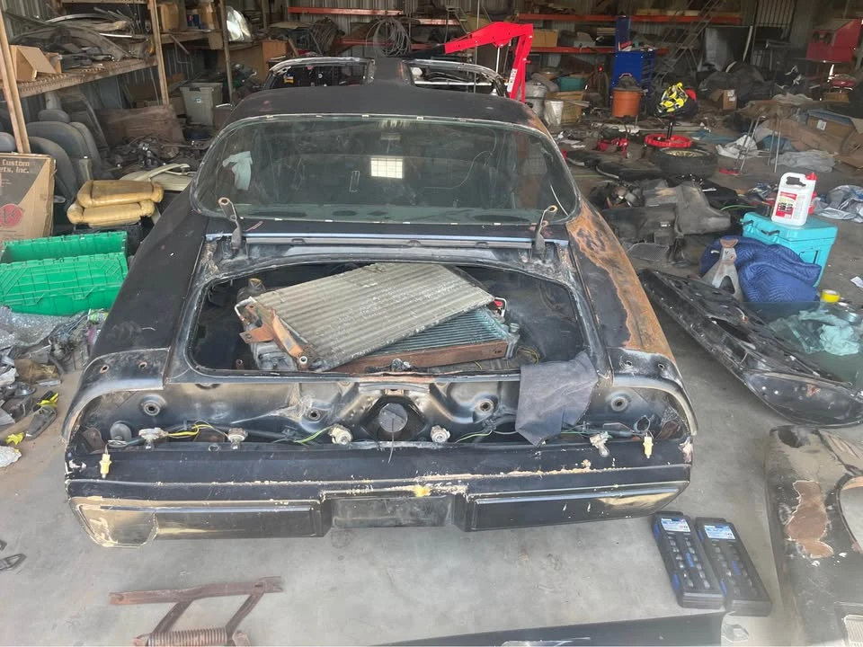 1981 Pontiac Firebird Trans Am 2nd Gen - Image 5 of 20