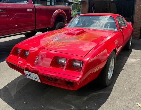 1981 Pontiac Trans Am